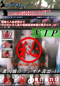 【素人娘のマジオナ流出 11】の一覧画像
