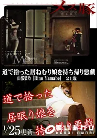 【道で拾った居ねむり娘を持ち帰り悪戯】の一覧画像