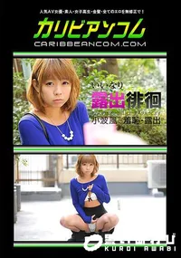 【いいなり露出徘徊 ～あたしのオマンコにはローターが入ってます～】の一覧画像