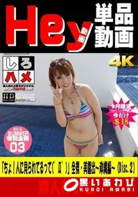 【「ちょ!人に見られてるって(゜Д゜)」全裸・美露出～沖縄編～(Disc.2)】の一覧画像