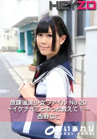 【放課後美少女ファイル No.20～イケナイこともっと教えて!～】の一覧画像
