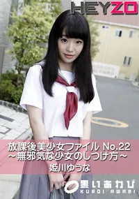 【放課後美少女ファイル No.22～無邪気な少女のしつけ方～】の一覧画像