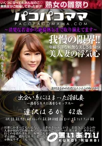 【パコパコママ 出会い系にはまった淫乱妻】の一覧画像