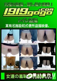 【女達の羞恥便所盗撮 Vol.517】の一覧画像