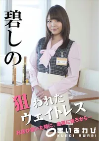 【狙われたウェイトレス お店が空いた隙に、店長に後ろから…】の一覧画像