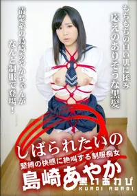 【しばられたいの 緊縛の快感に絶叫する制服痴女】の一覧画像