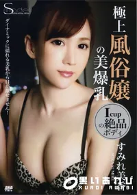 【S Model SSDV Vol.08 極上風俗嬢の美爆乳 すみれ美香】の一覧画像