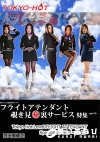 【フライトアテンダント覗き見秘裏サービス 特集 part2】の一覧画像