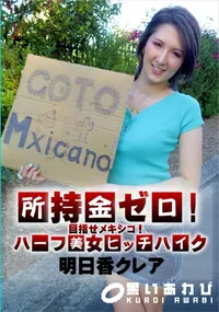【所持金ゼロ!目指せメキシコ!ハーフ美女ヒッチハイク】の一覧画像