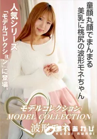【モデルコレクション】の一覧画像