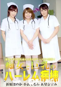 【痴女と巨乳のハーレム病棟】の一覧画像