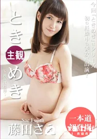 【ときめき ～彼女は妊婦～】の一覧画像