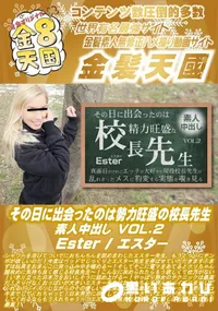 【その日に出会ったのは勢力旺盛の校長先生 素人中出し VOL2】の一覧画像