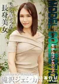 【モデルコレクション】の一覧画像