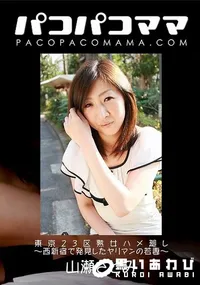 【パコパコママ 東京23区熟女ハメ廻し  西新宿で発見したヤリマンの若妻】の一覧画像