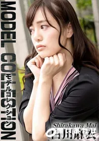 【モデルコレクション】の一覧画像