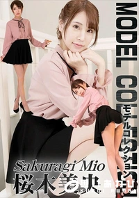 【モデルコレクション】の一覧画像