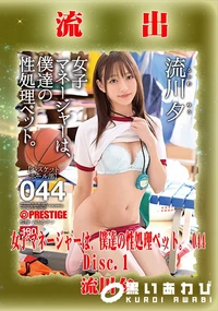 【【極秘流出】 流□夕 リメイク Disc.2】の一覧画像