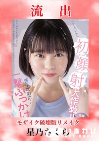 【【極秘流出】星□さくら 破壊版リメイク】の一覧画像